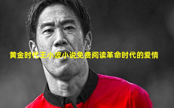 黄金时代王小波小说免费阅读革命时代的爱情