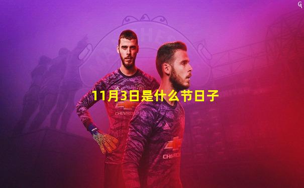 11月3日是什么节日子