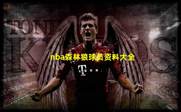 nba森林狼球员资料大全