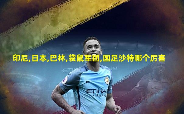 印尼,日本,巴林,袋鼠军团,国足沙特哪个厉害
