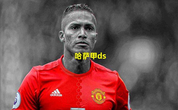 哈萨甲ds