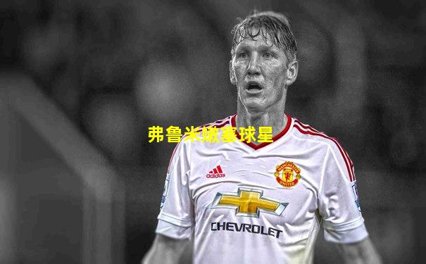 弗鲁米嫩塞球星