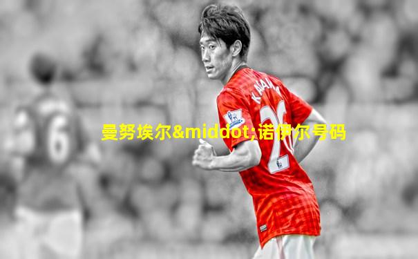 曼努埃尔·诺伊尔号码