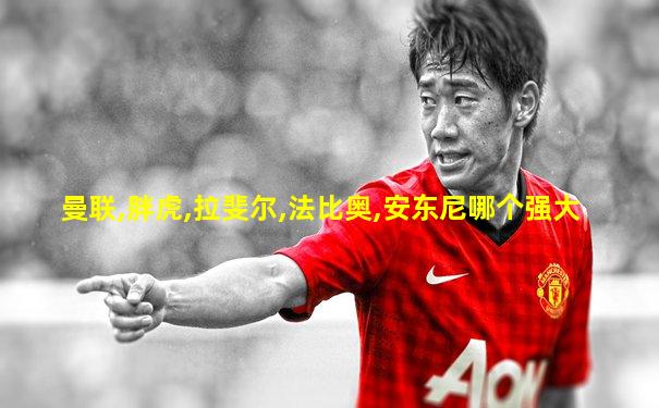 曼联,胖虎,拉斐尔,法比奥,安东尼哪个强大